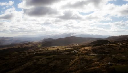 İş Yaparak Gelir Fikirleri